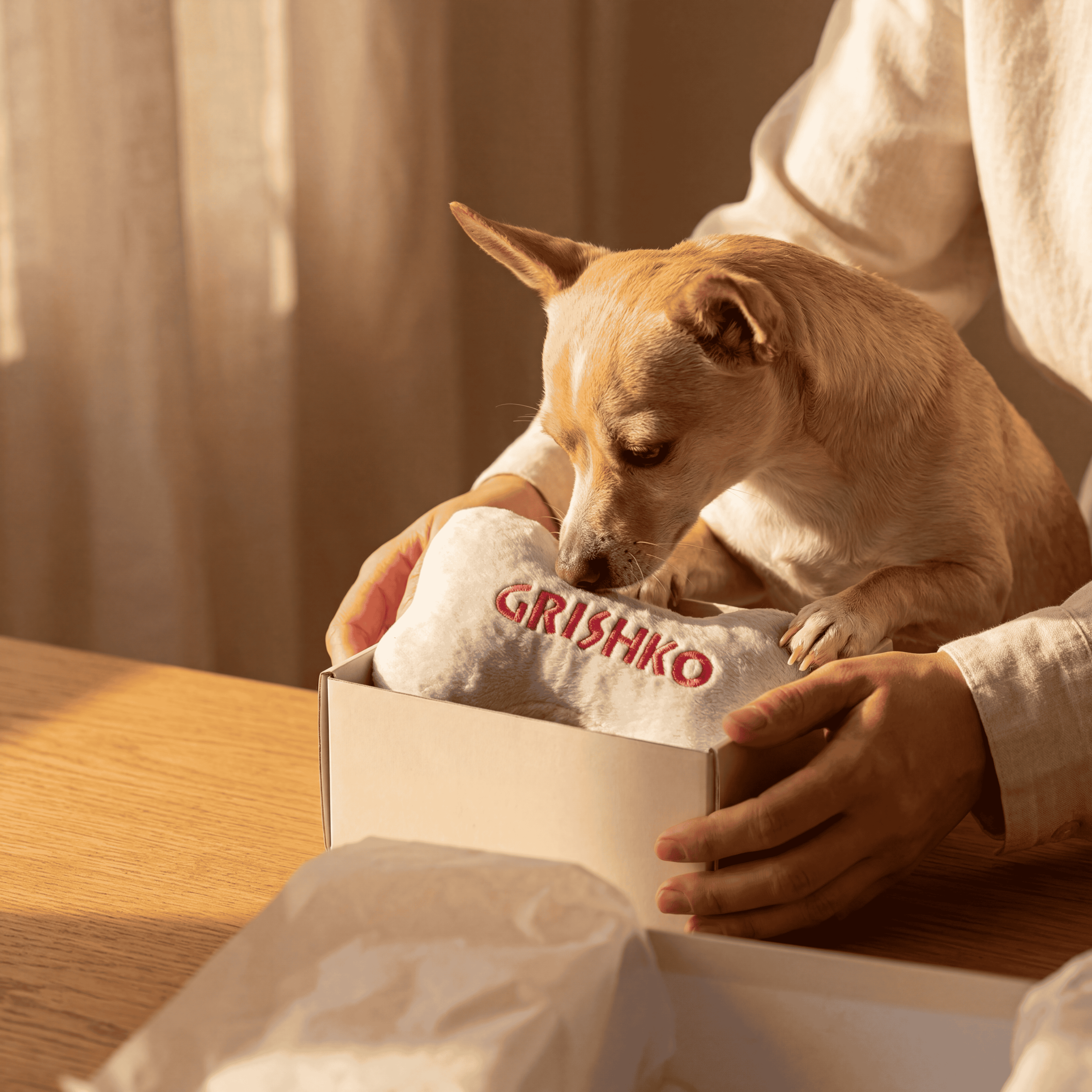 Personalized Small Squeaky Dog Toy