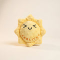 Personalized Sun Dog Toy