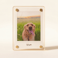 Personalized Dog Magnet