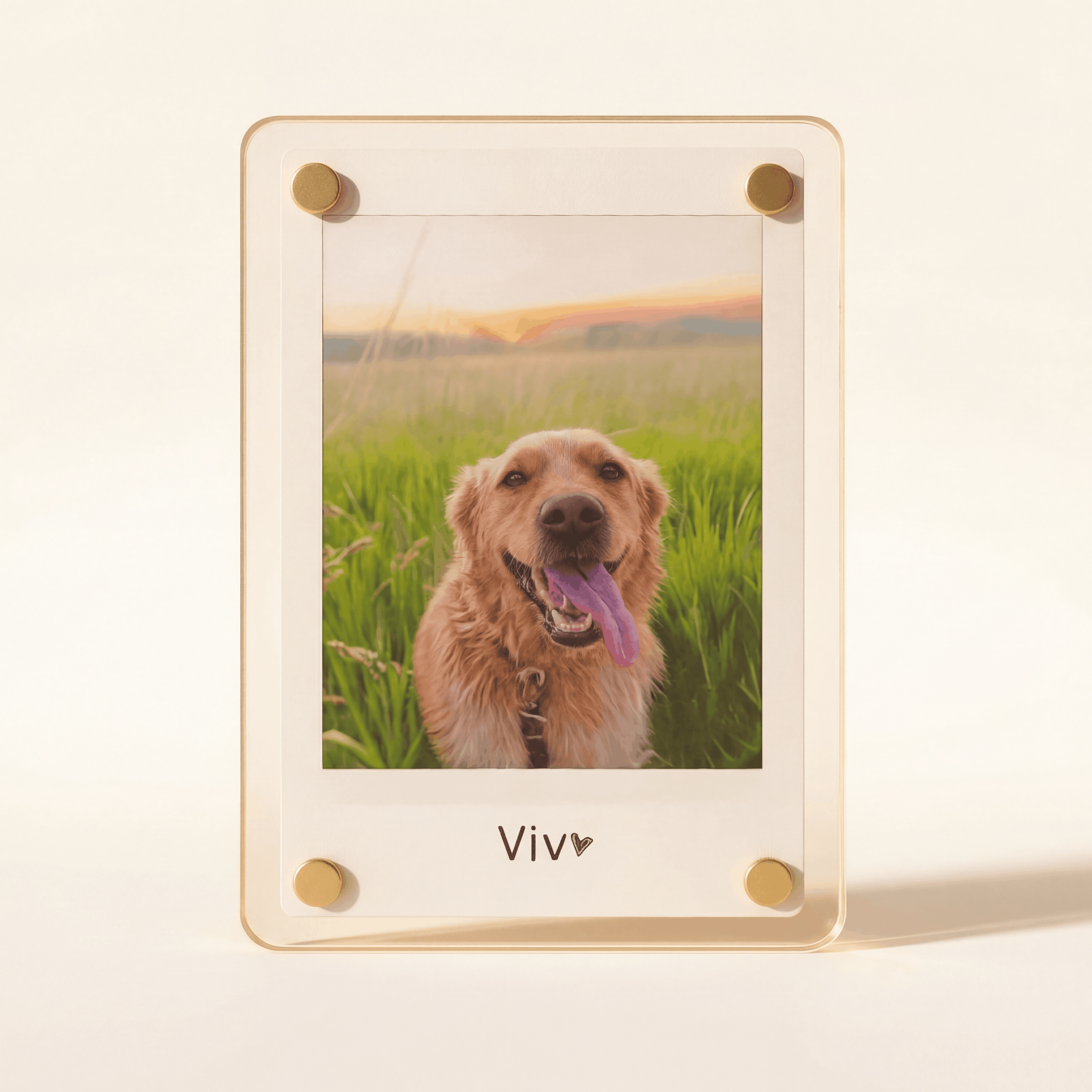 Personalized Dog Magnet