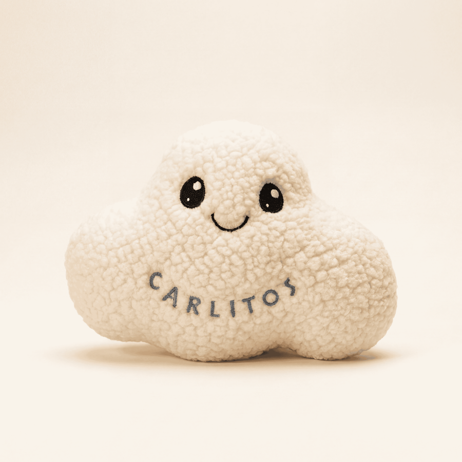 Personalized Cloud Dog Toy