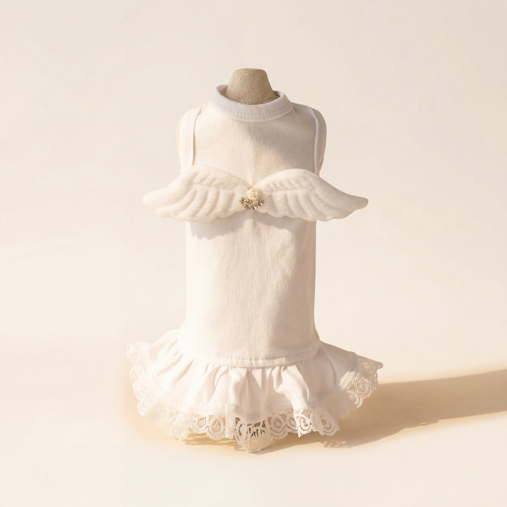 Lil' Angel Dog Dress