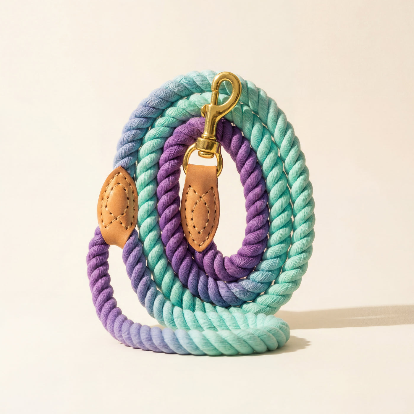 Braided Dog Leash
