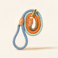 Braided Dog Leash