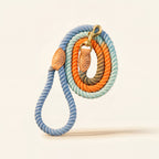 Braided Dog Leash