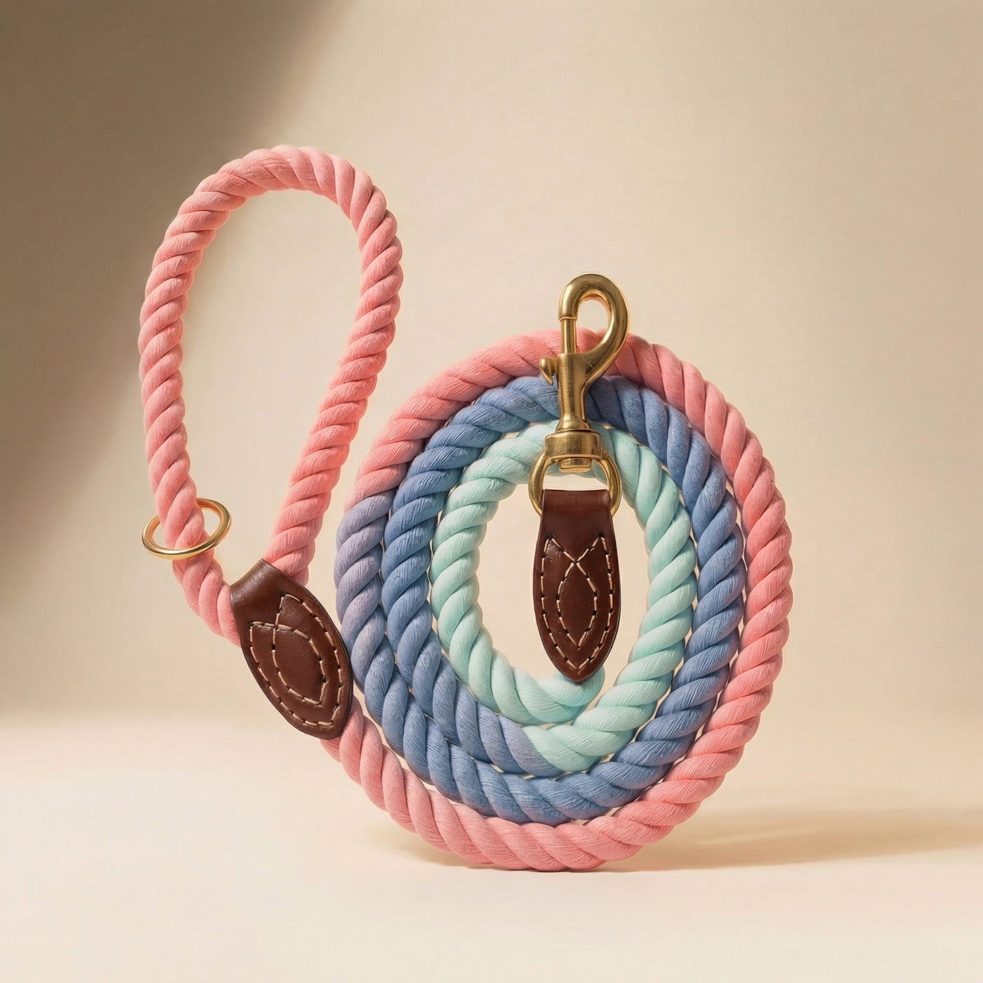 Braided Dog Leash