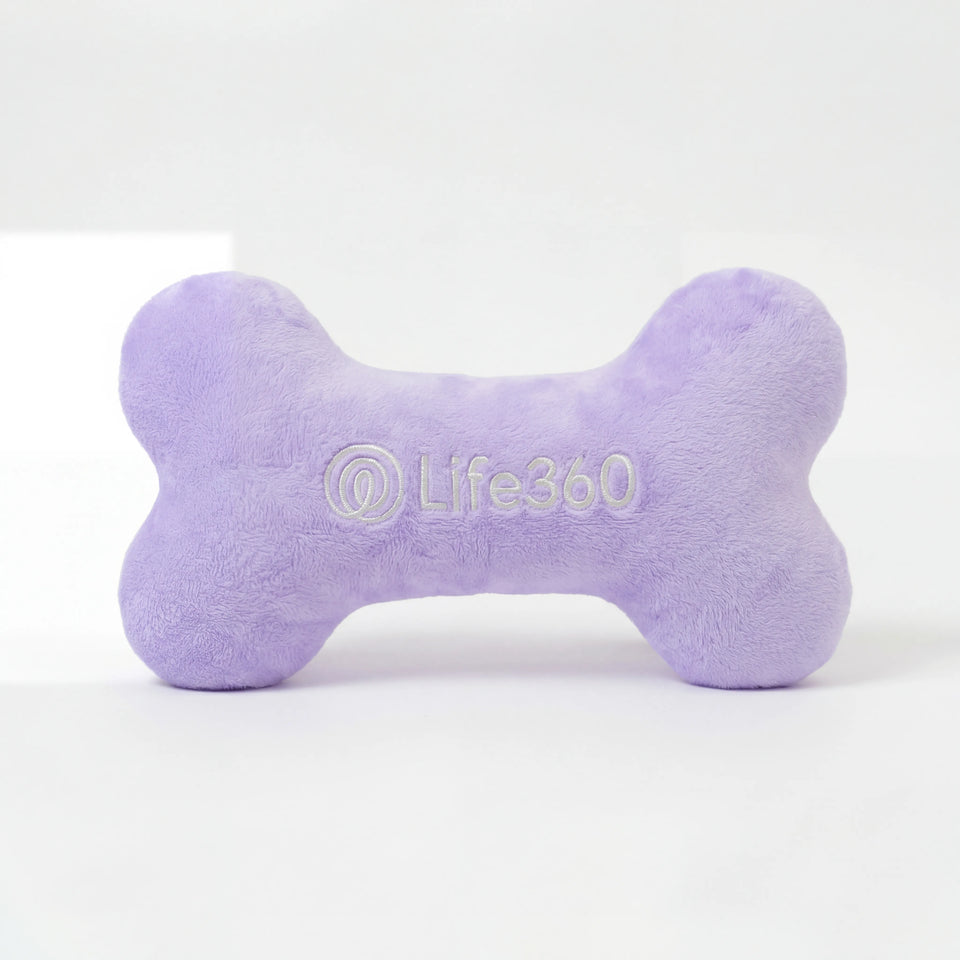 Life 360