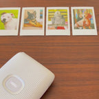 Personalized Dog Magnet